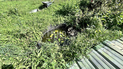 Terrain de loisirs - 2 000 m²