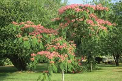 Maison - 128 m² - 4 pièces