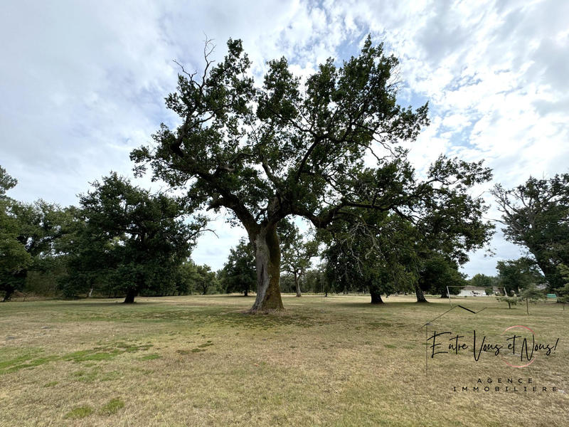 Maison ancienne - 168 m² - 5 pièces