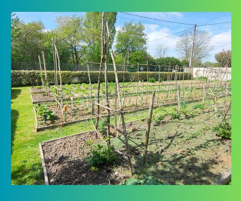 Maison ancienne - 150 m² - 6 pièces