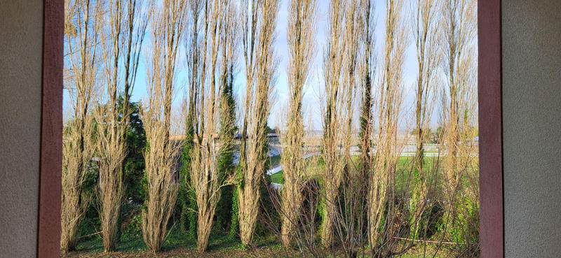 Appartement - 42 m² - 3 pièces