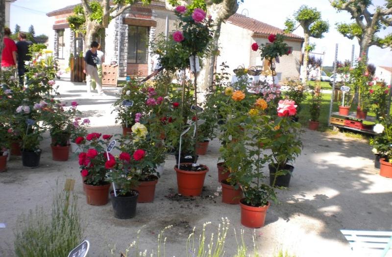Grand marché aux fleurs