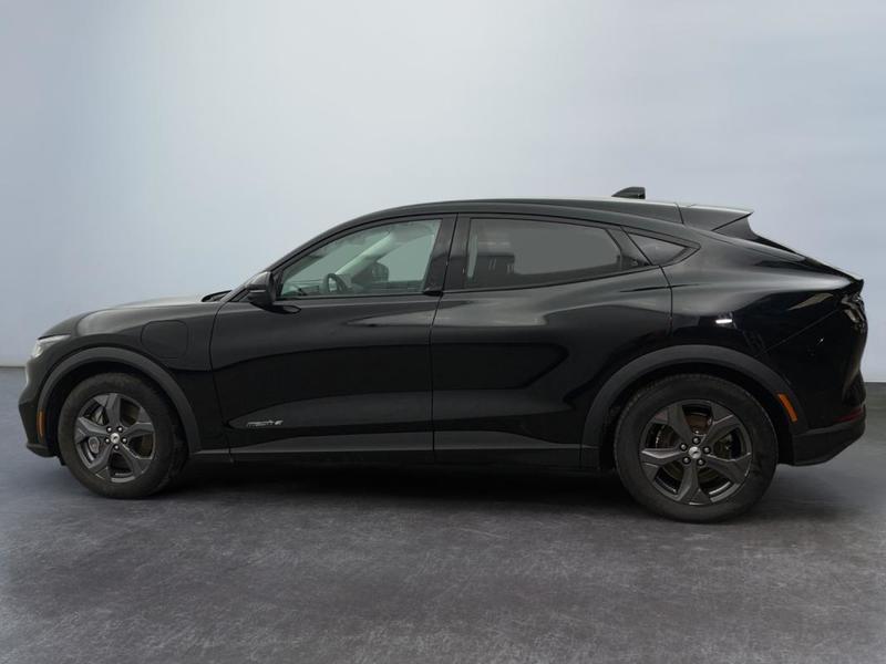 Ford Mustang Mach-E Standard Range 76 kWh 269 ch