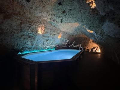 Propriété - 558 m² - 14 pièces