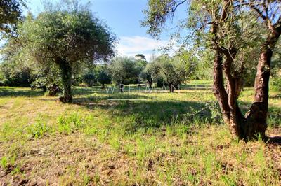 Terrain constructible - 2 000 m²