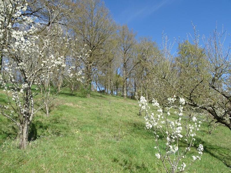 Maison traditionnelle - 88 m² - 4 pièces