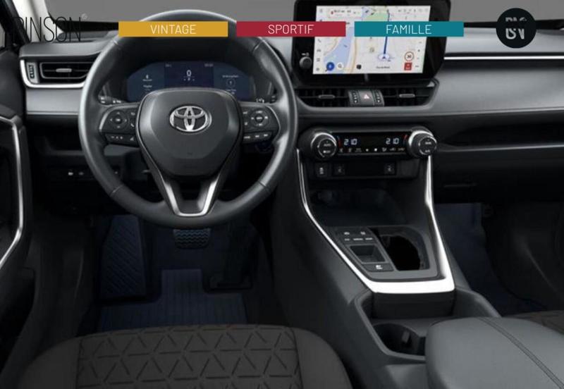 Toyota Rav4 2.5 Hybrid 218 Ecvt Team Deutschland