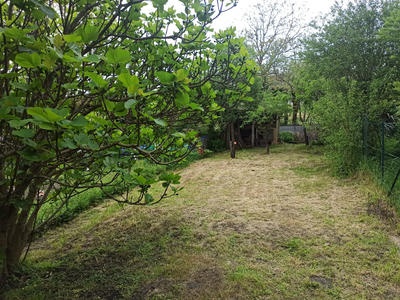 Maison - 24 m² - 1 pièce