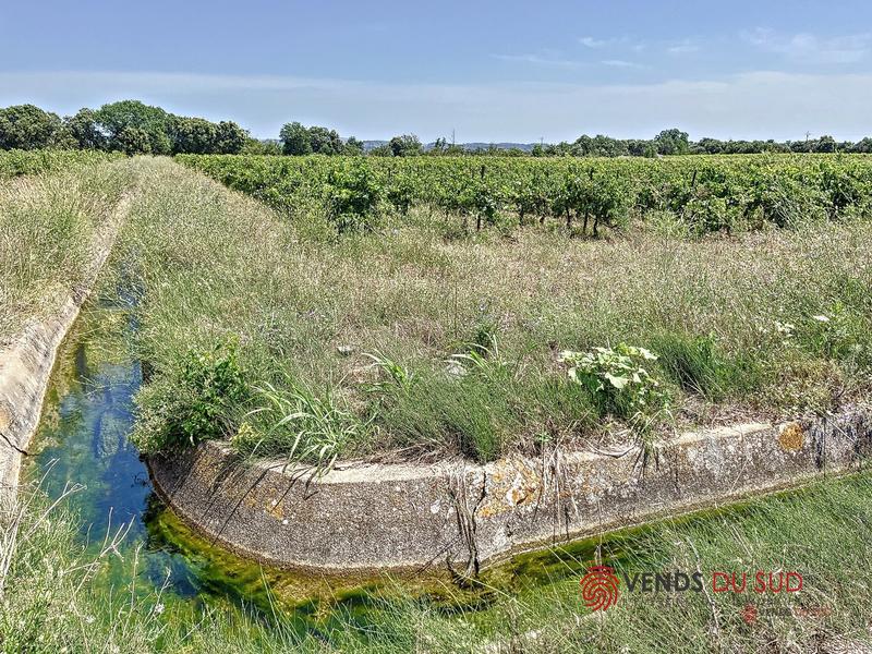 Propriété viticole - 1 pièce