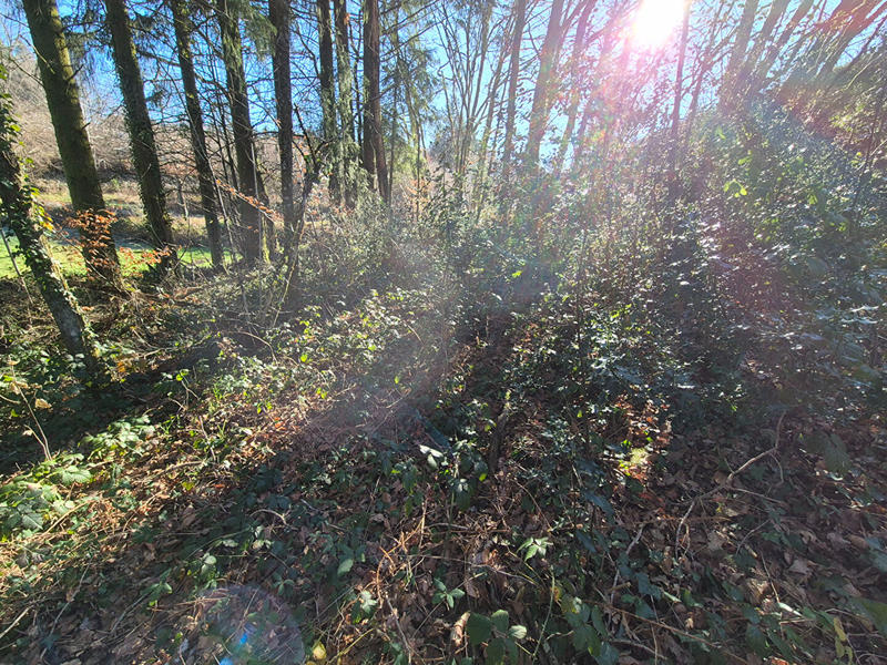 Maison - 33 m² - 2 pièces