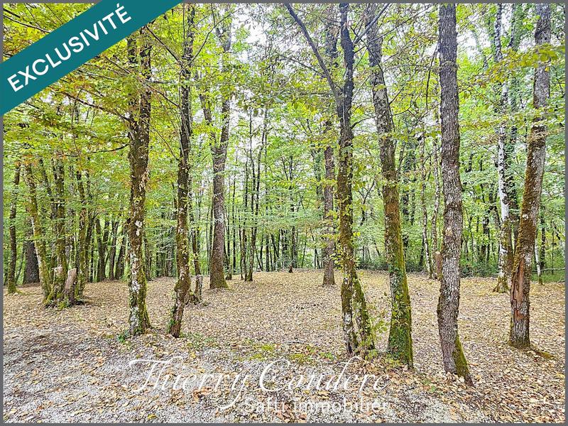 Maison - 81 m² - 4 pièces