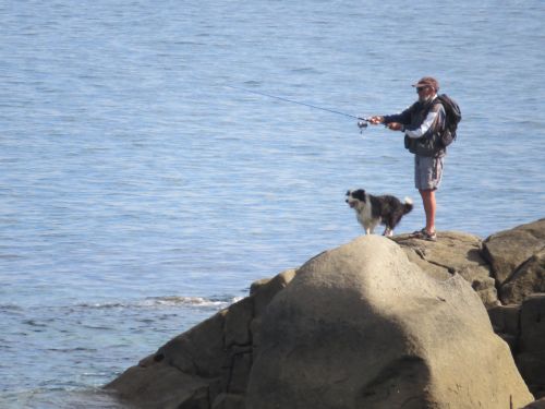 Pêche du bord de mer