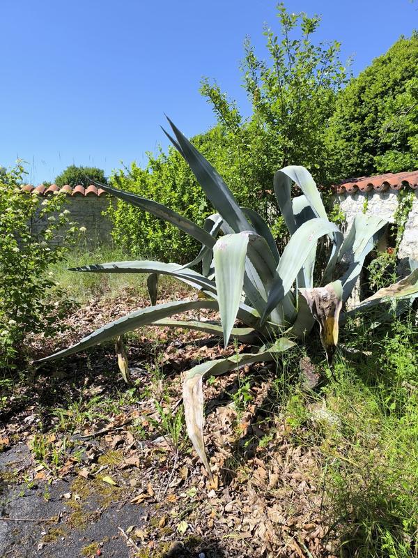 Maison - 167 m² - 7 pièces