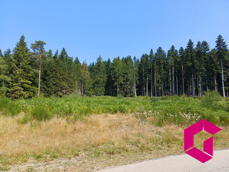 Terrain - 11 620 m²