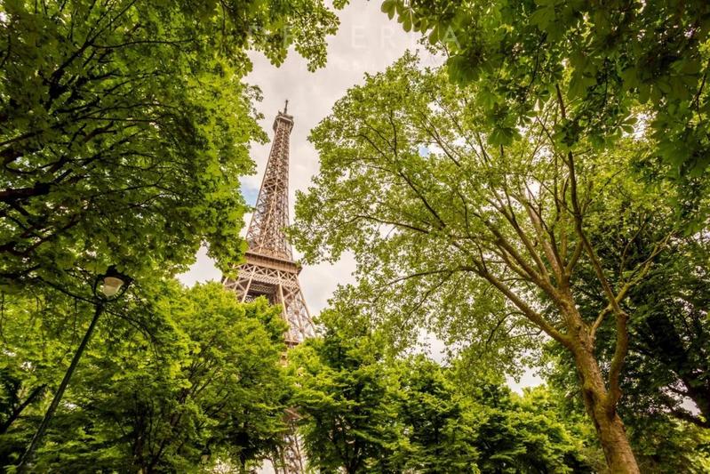 Appartement - 147 m² - 6 pièces