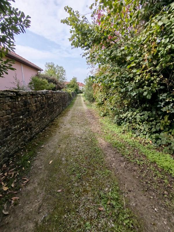 Terrain constructible - 1 131 m²