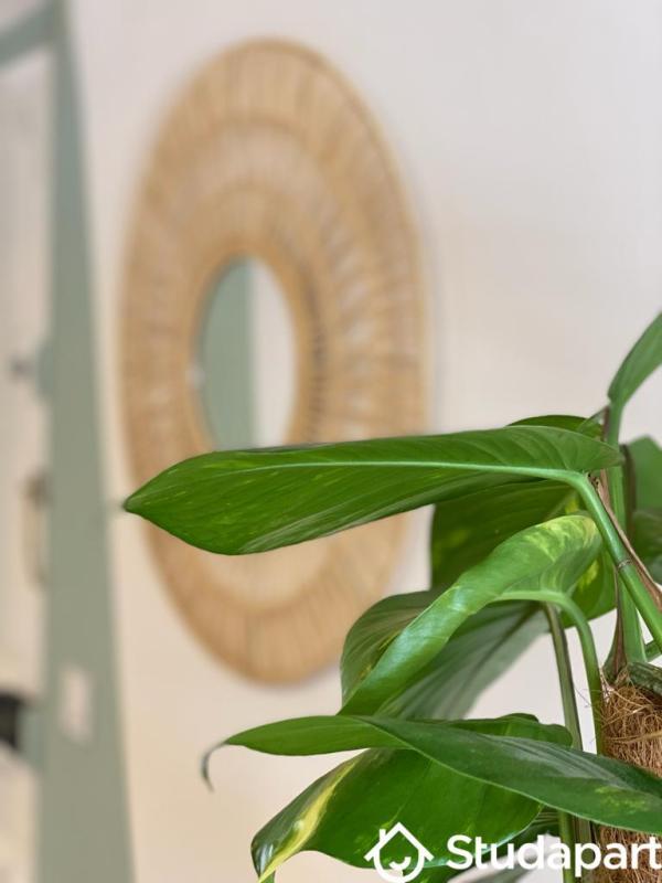 Chambre - 9 m² - 1 pièce