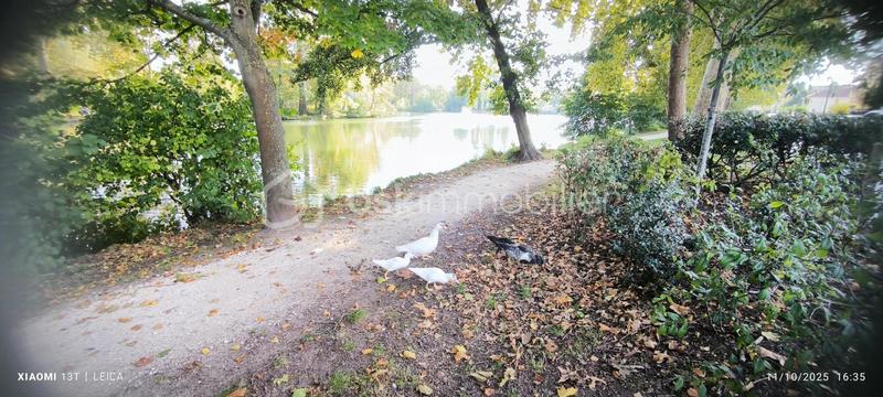 Maison - 167 m² - 6 pièces