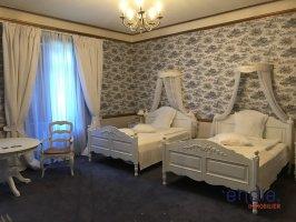 Château - 3 800 m² - 36 pièces