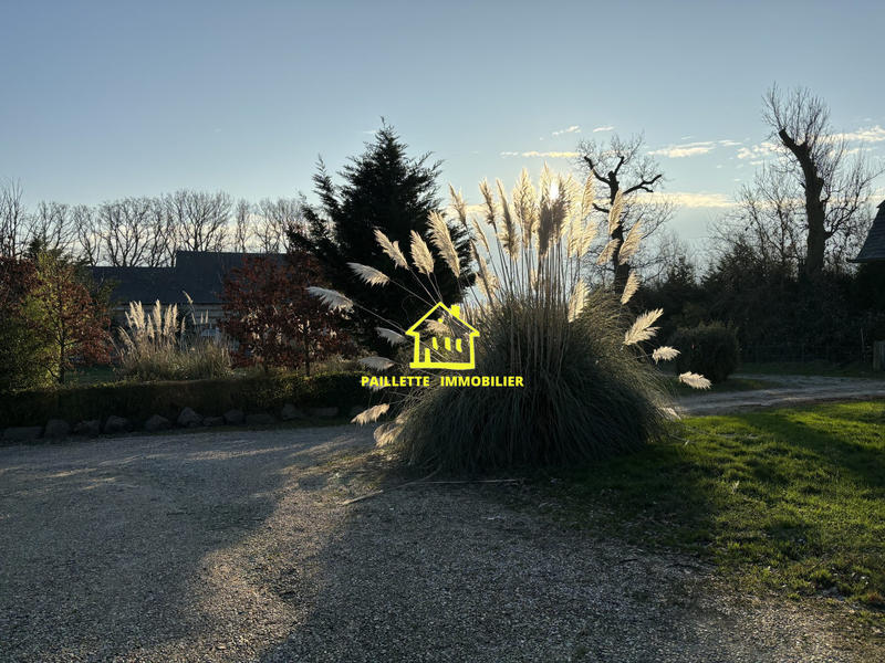 Entrepôt - 235 m² - 2 pièces