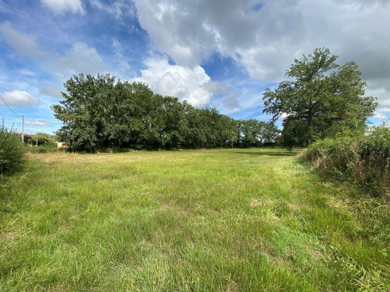 Terrain constructible - 5 155 m²