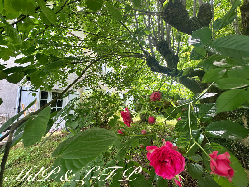 Maison - 294 m² - 6 pièces