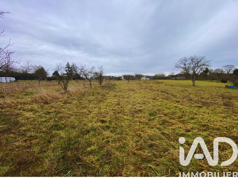 Terrain - 786 m²