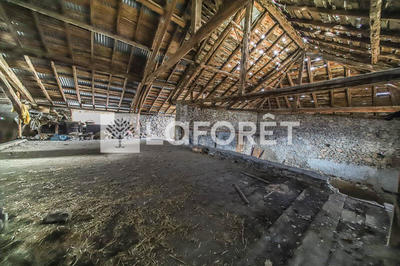 Maison - 550 m² - 12 pièces