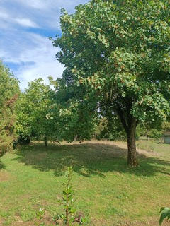 Terrain - 1 008 m²