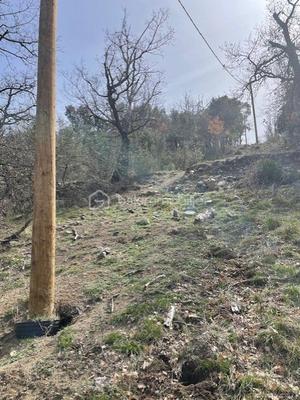 Terrain agricole - 4 607 m²