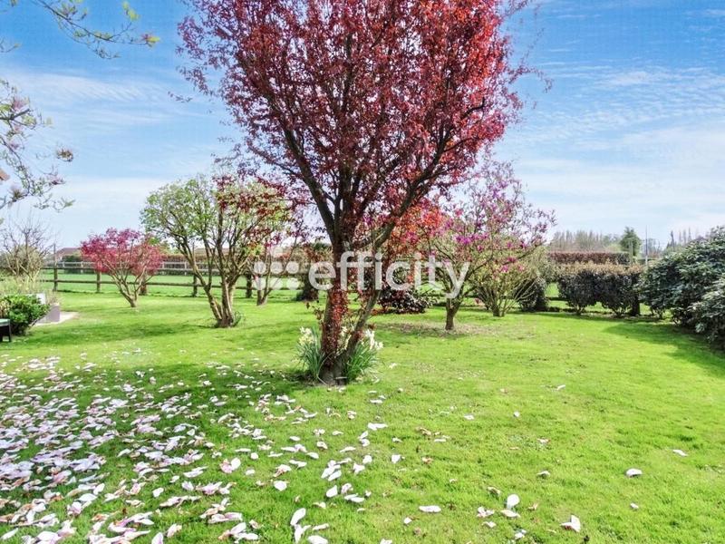 Maison - 179 m² - 8 pièces