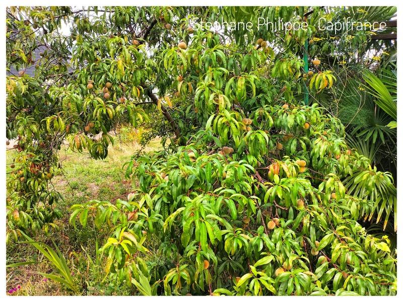 Maison - 148 m² - 6 pièces