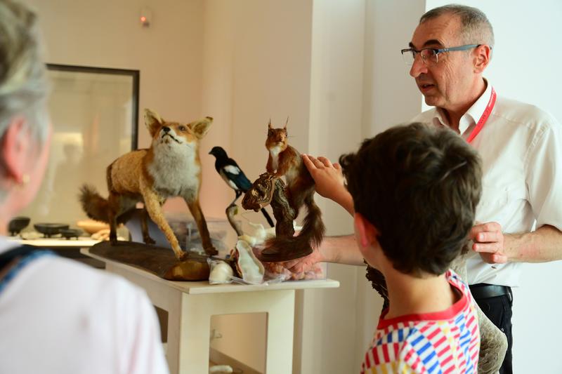 Rdv sciences : la taxidermie, c'est trippant