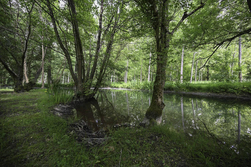Maison ancienne - 185 m² - 7 pièces
