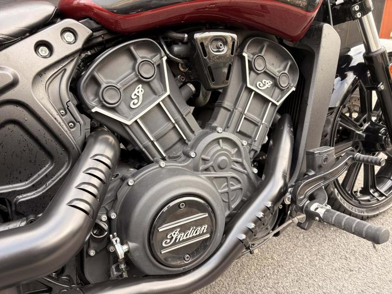 Indian Scout Rogue
