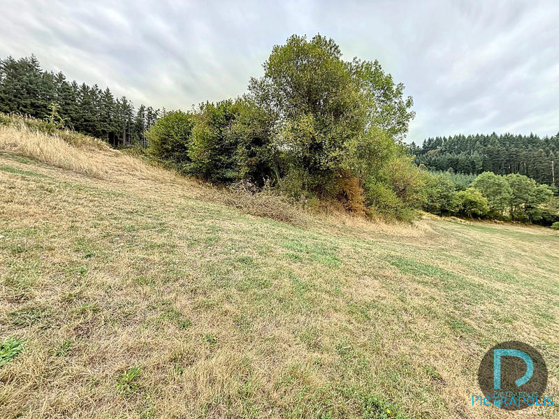 Terrain agricole - 6 055 m²