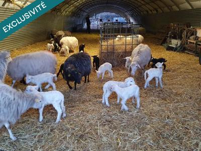 Terrain agricole - 19 748 m²