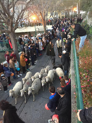 Descente des bergers