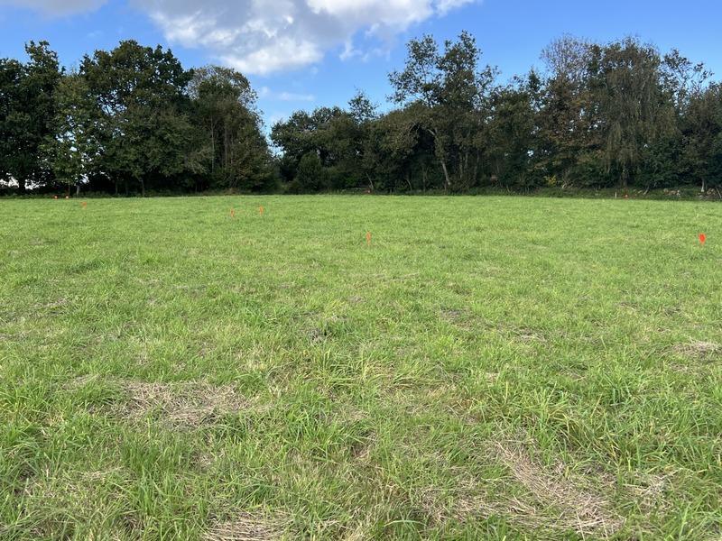 Terrain constructible - 910 m²