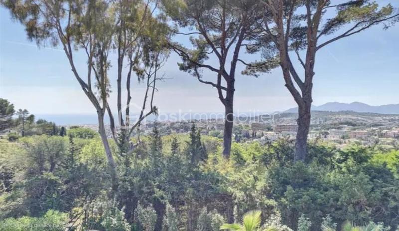 Villa - 370 m² - 10 pièces