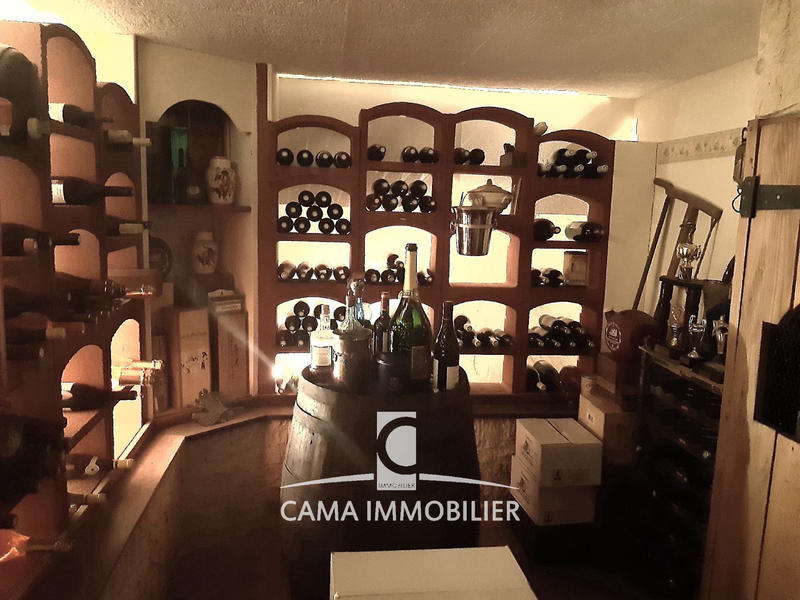 Maison - 270 m² - 8 pièces