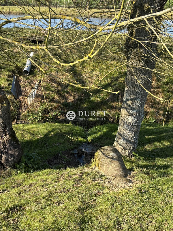 Terrain de loisirs - 9 863 m²