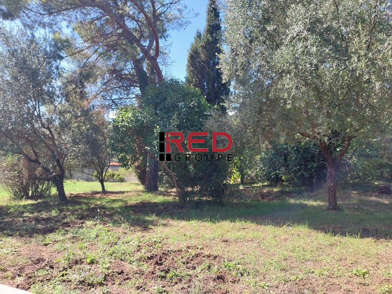 Bureau - 175 m² - 3 pièces