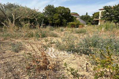 Terrain - 355 m²