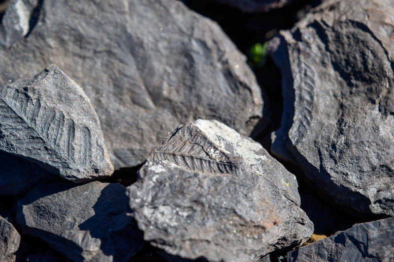 Médiation Exposition Pour Enfant : les Mercredis de la Géologie