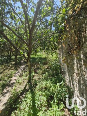 Terrain agricole - 1 077 m²