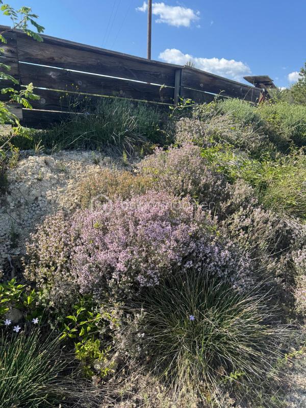 Terrain de loisirs - 8 658 m²