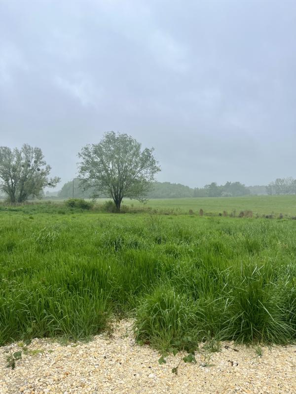 Terrain constructible - 551 m²