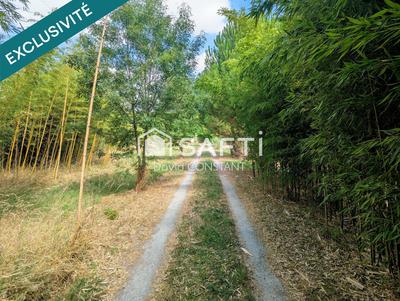 Maison - 280 m² - 9 pièces