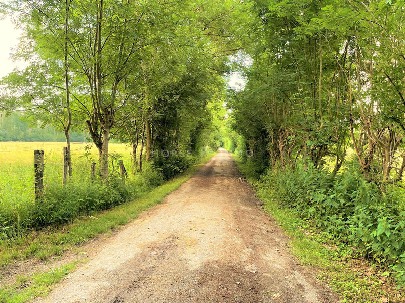 Maison - 240 m² - 6 pièces